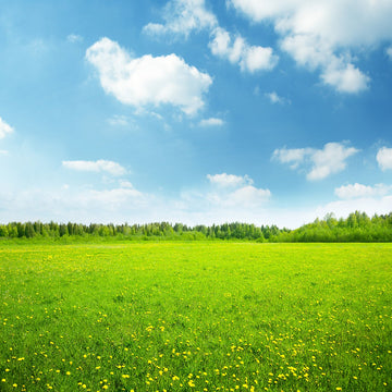 Spring Scenery Background Blue Sky White Cloud Grassland Photography Backdrop IBD-20066 - iBACKDROP-Backdrops Beautiful, For Photography, Grassland, Green Grass Backdrop, Green Grass Background, Nice Blue Sky, Photography Background, Portrait Photography backdrops, Scenic Backdrops, Spring Backdrop, Spring Backdrops, White Cloud and Blue Sky, White Cloud Sky Background